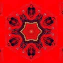 chakra-685008_960_720
